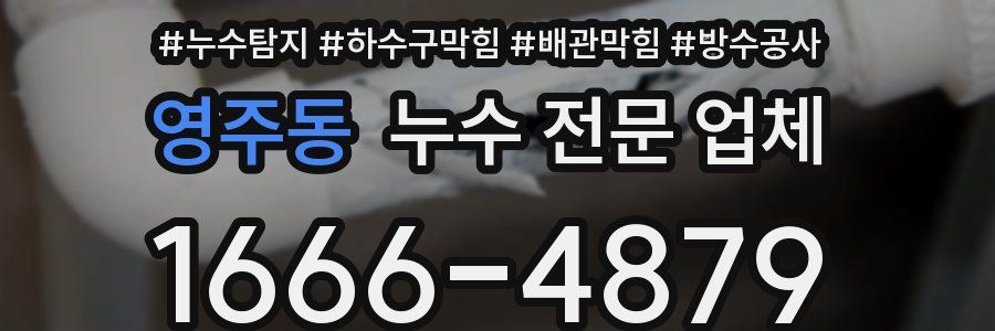 영주동 누수 전문 업체
