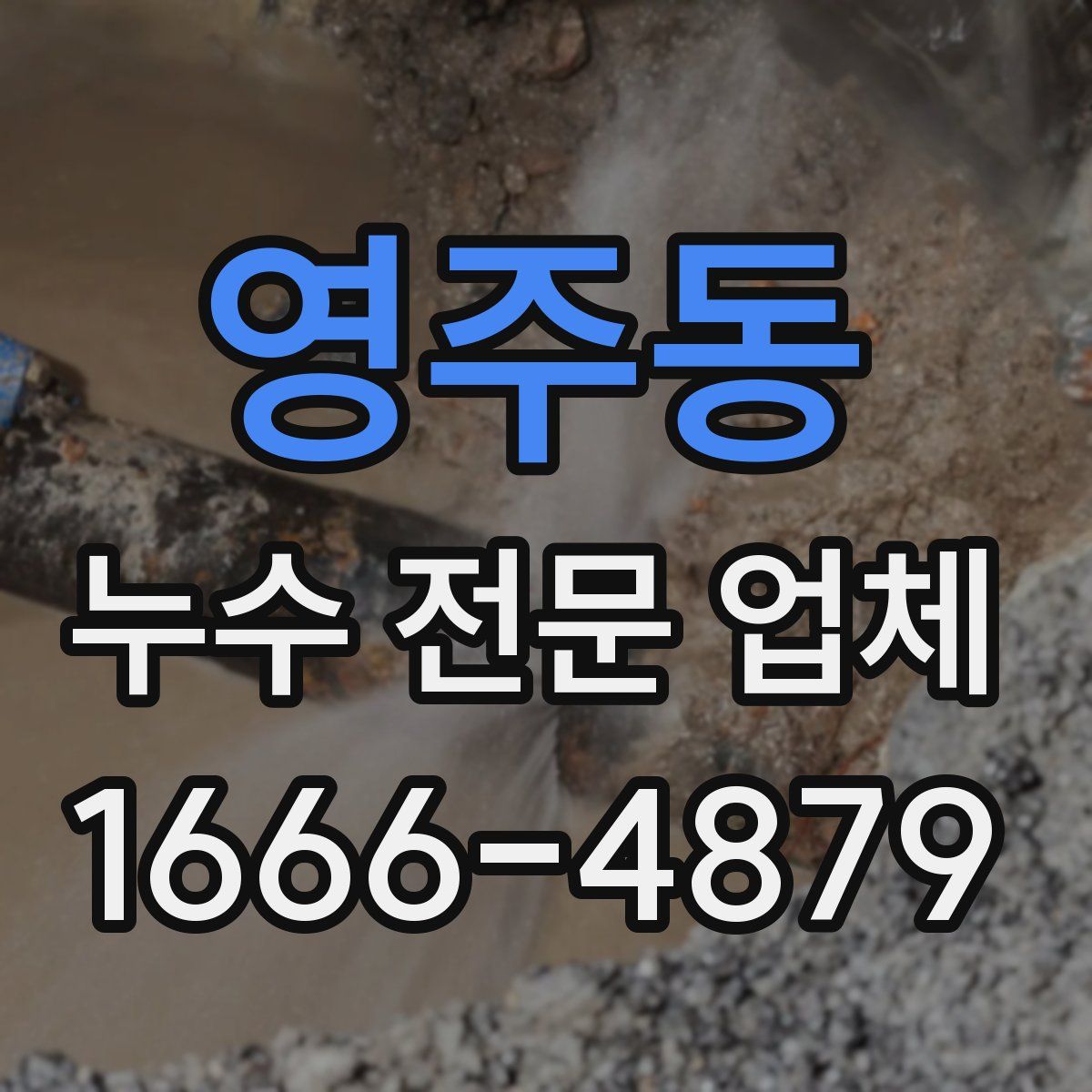 영주동 누수 전문 업체