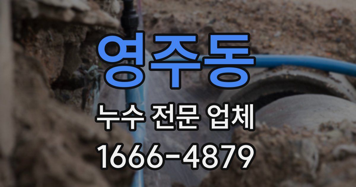 영주동 누수 전문 업체