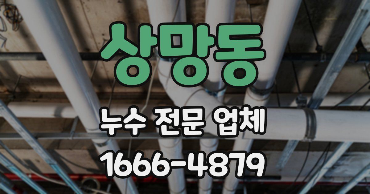 상망동 누수 전문 업체