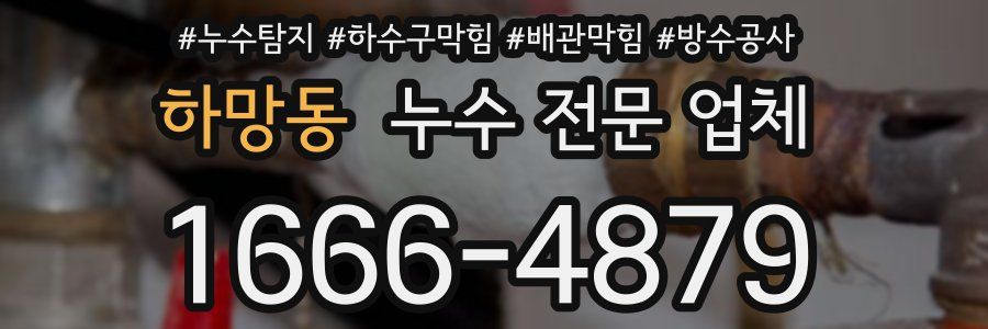 하망동 누수 전문 업체