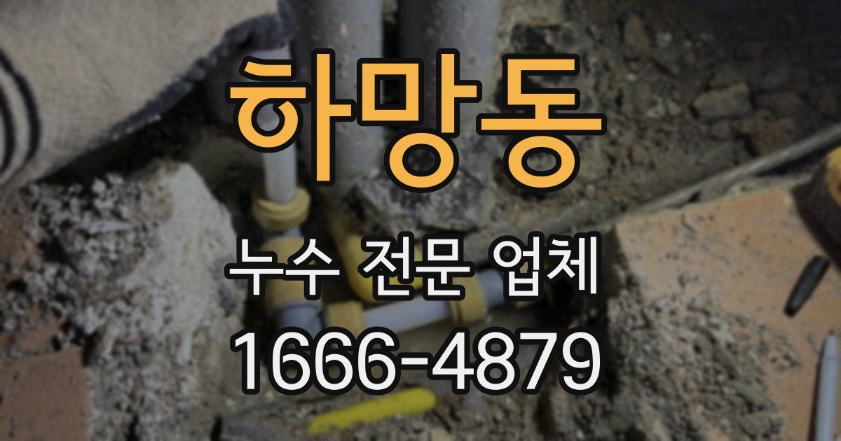하망동 누수 전문 업체