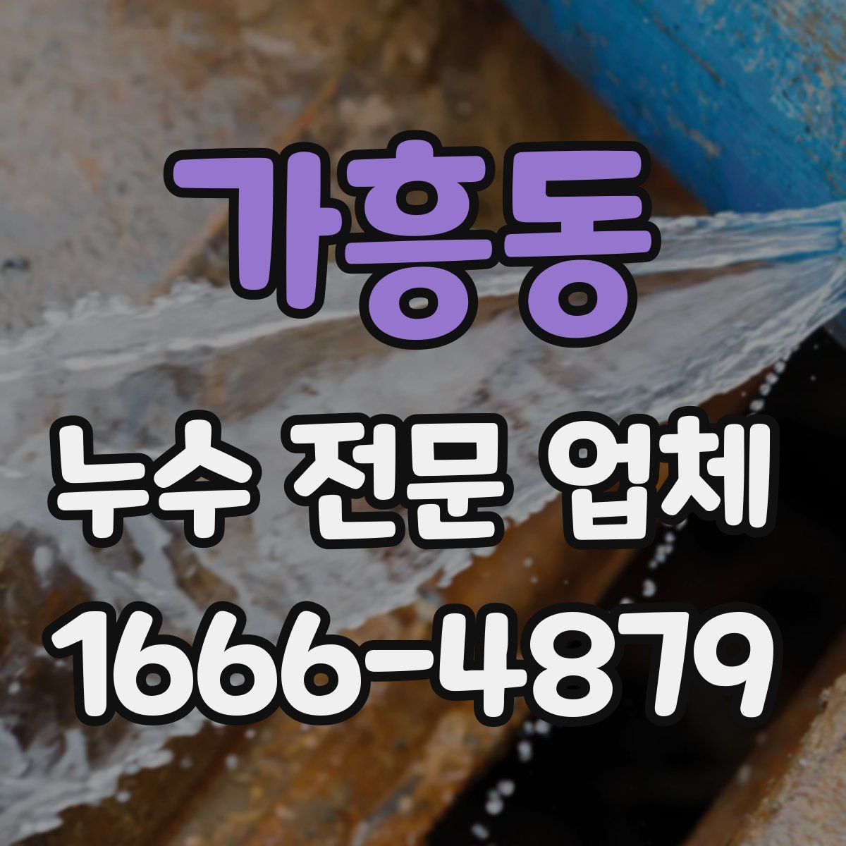 가흥동 누수 전문 업체