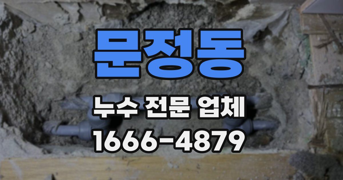 문정동 누수 전문 업체