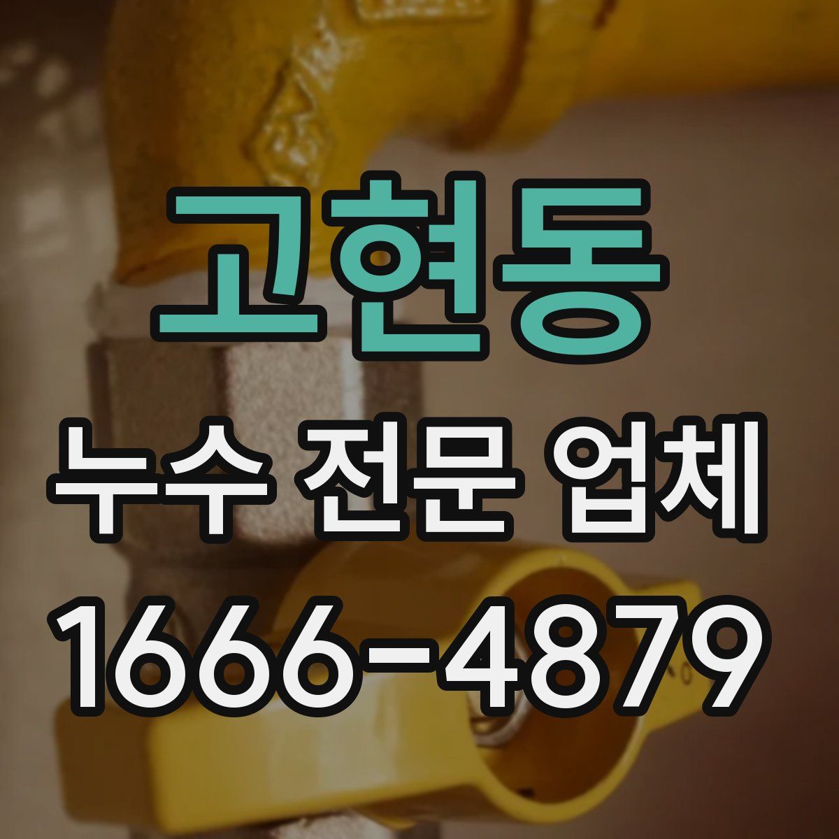 고현동 누수 전문 업체