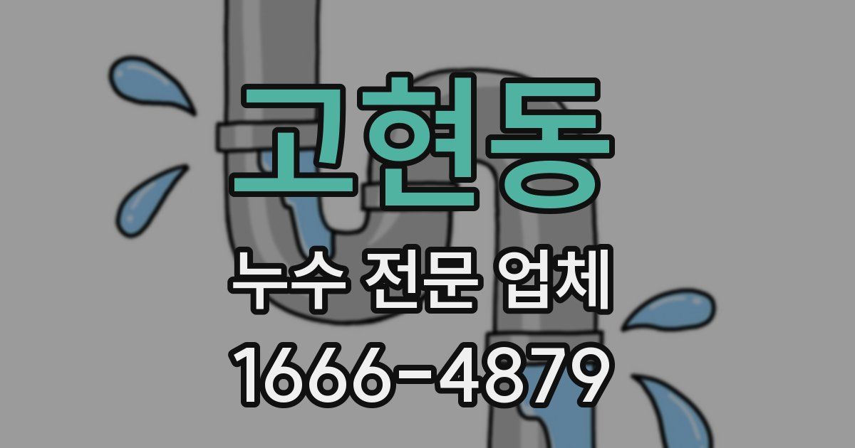 고현동 누수 전문 업체