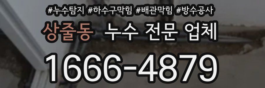 상줄동 누수 전문 업체