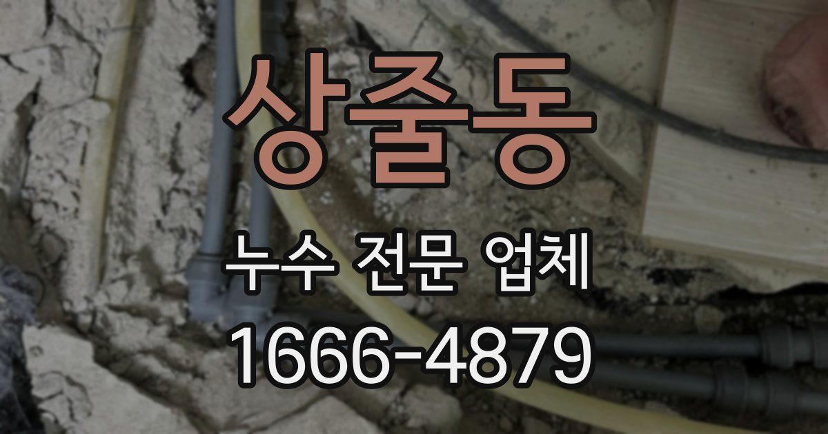 상줄동 누수 전문 업체