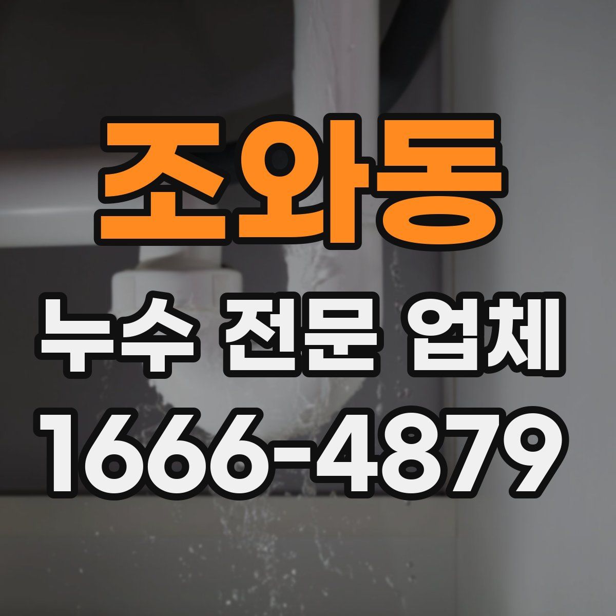 조와동 누수 전문 업체