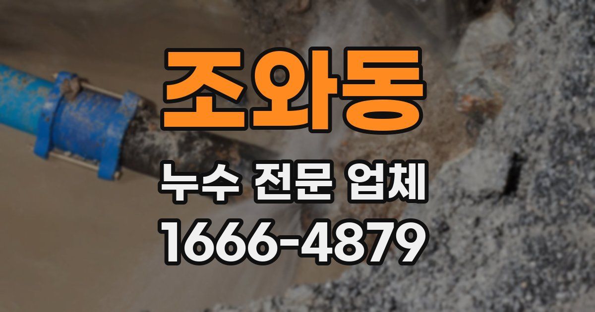조와동 누수 전문 업체