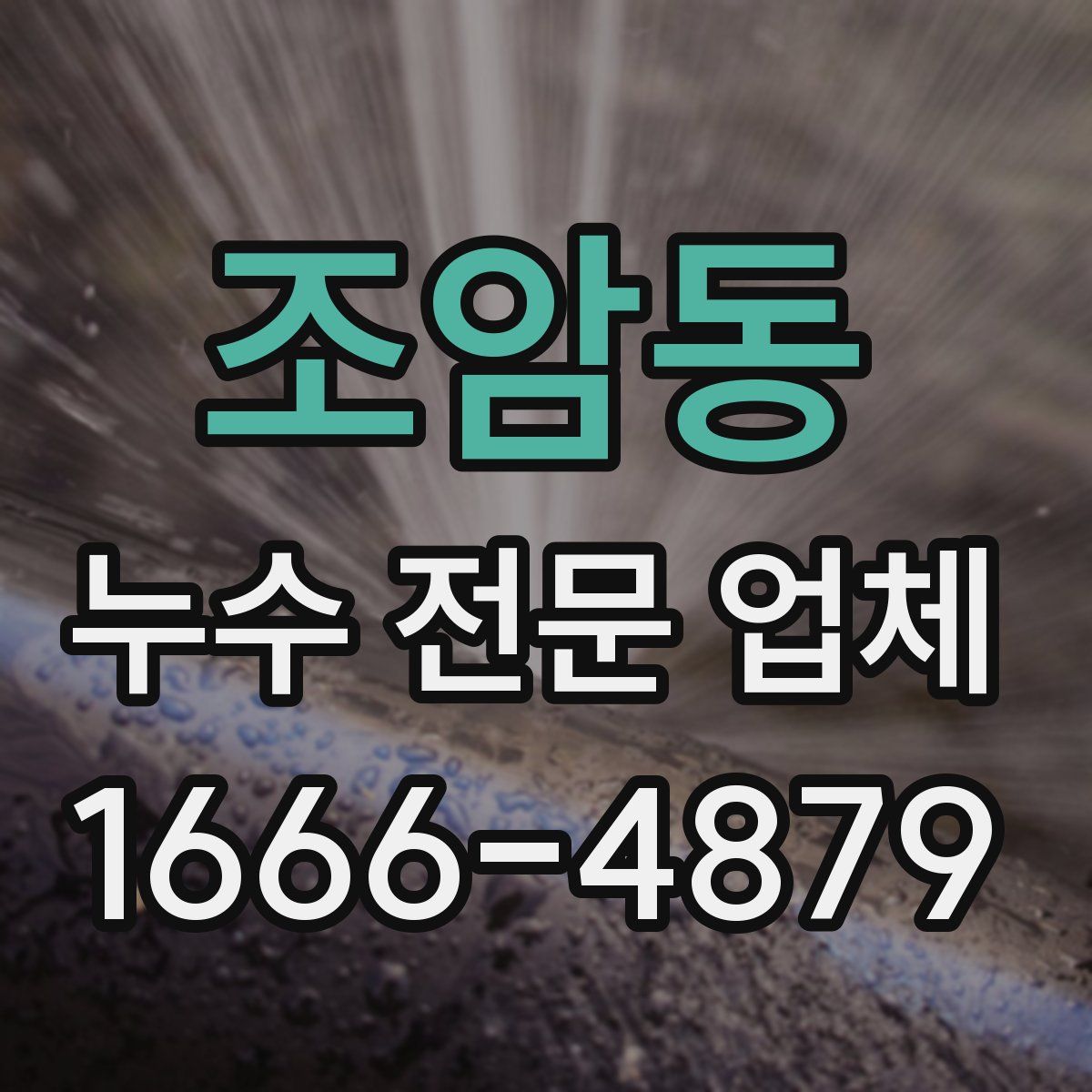 조암동 누수 전문 업체