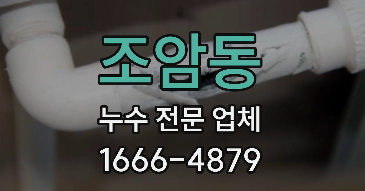 조암동 누수 전문 업체