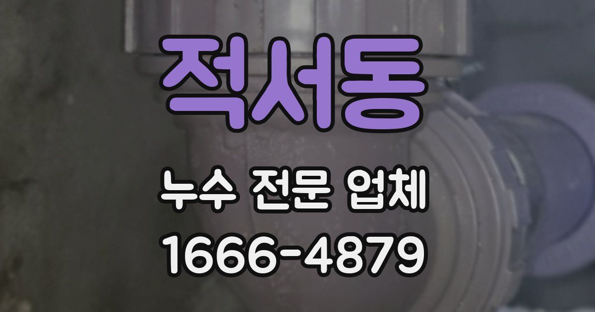 적서동 누수 전문 업체