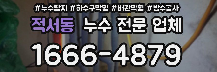 적서동 누수 전문 업체