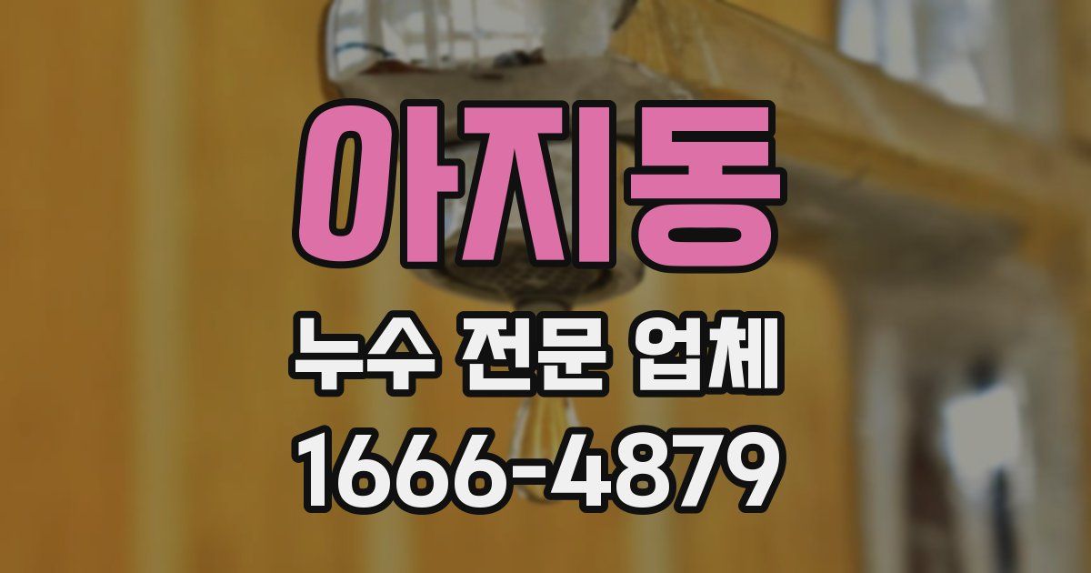 아지동 누수 전문 업체