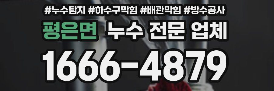 평은면 누수 전문 업체
