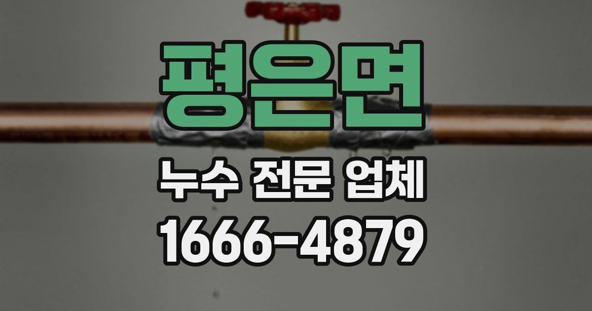 평은면 누수 전문 업체