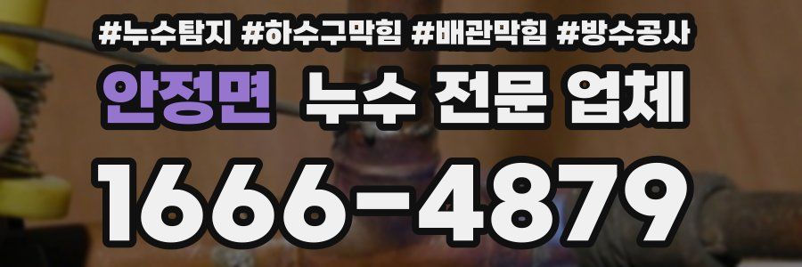 안정면 누수 전문 업체