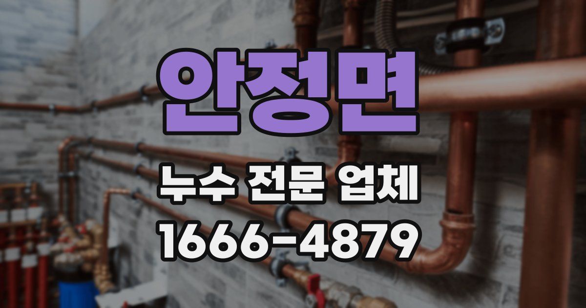 안정면 누수 전문 업체