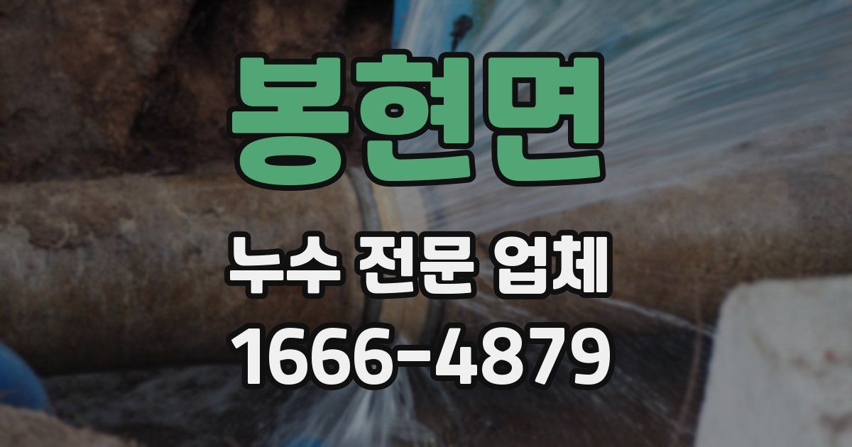 봉현면 누수 전문 업체