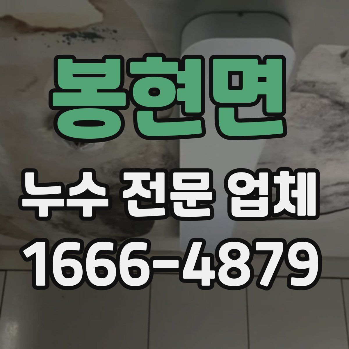 봉현면 누수 전문 업체