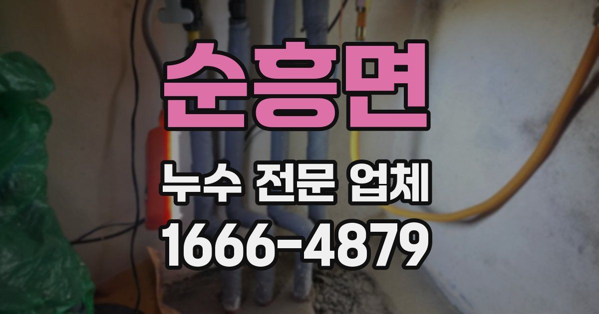 순흥면 누수 전문 업체
