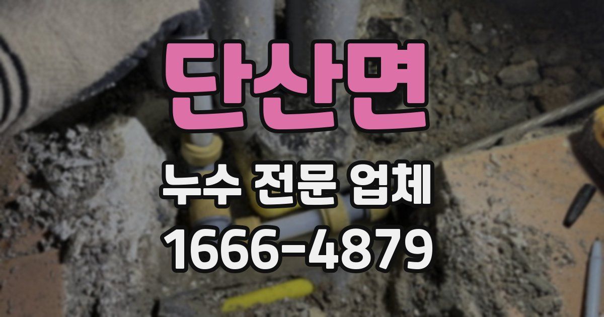 단산면 누수 전문 업체