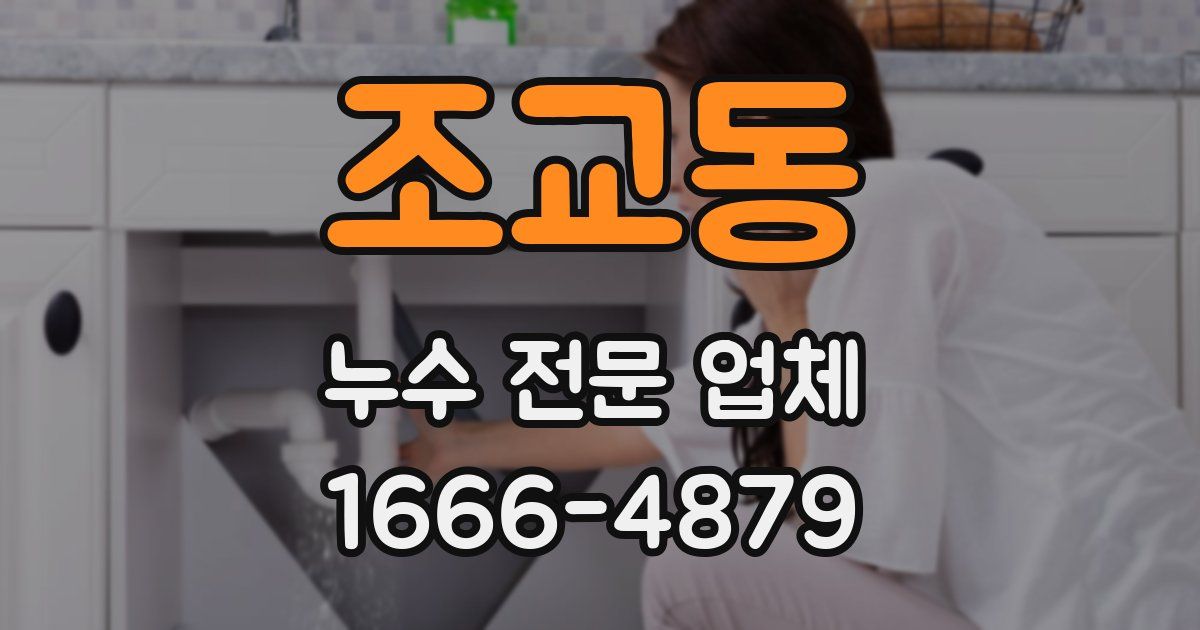 조교동 누수 전문 업체
