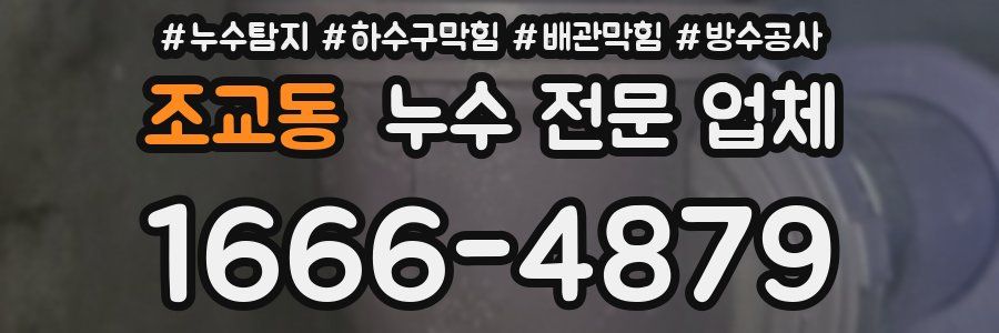 조교동 누수 전문 업체