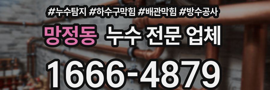 망정동 누수 전문 업체