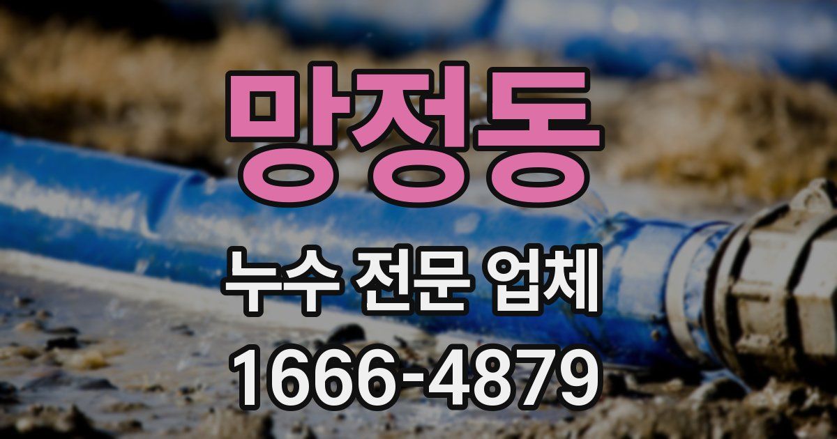 망정동 누수 전문 업체