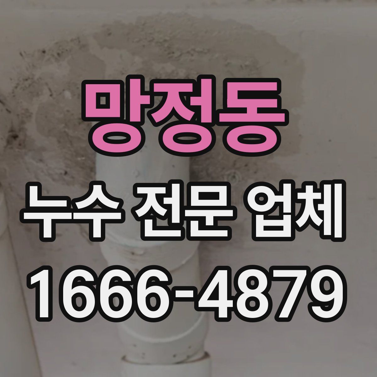 망정동 누수 전문 업체