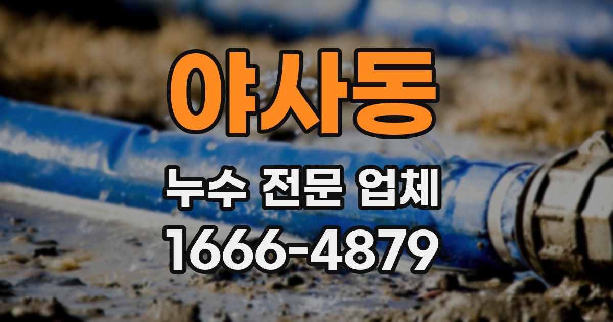 야사동 누수 전문 업체