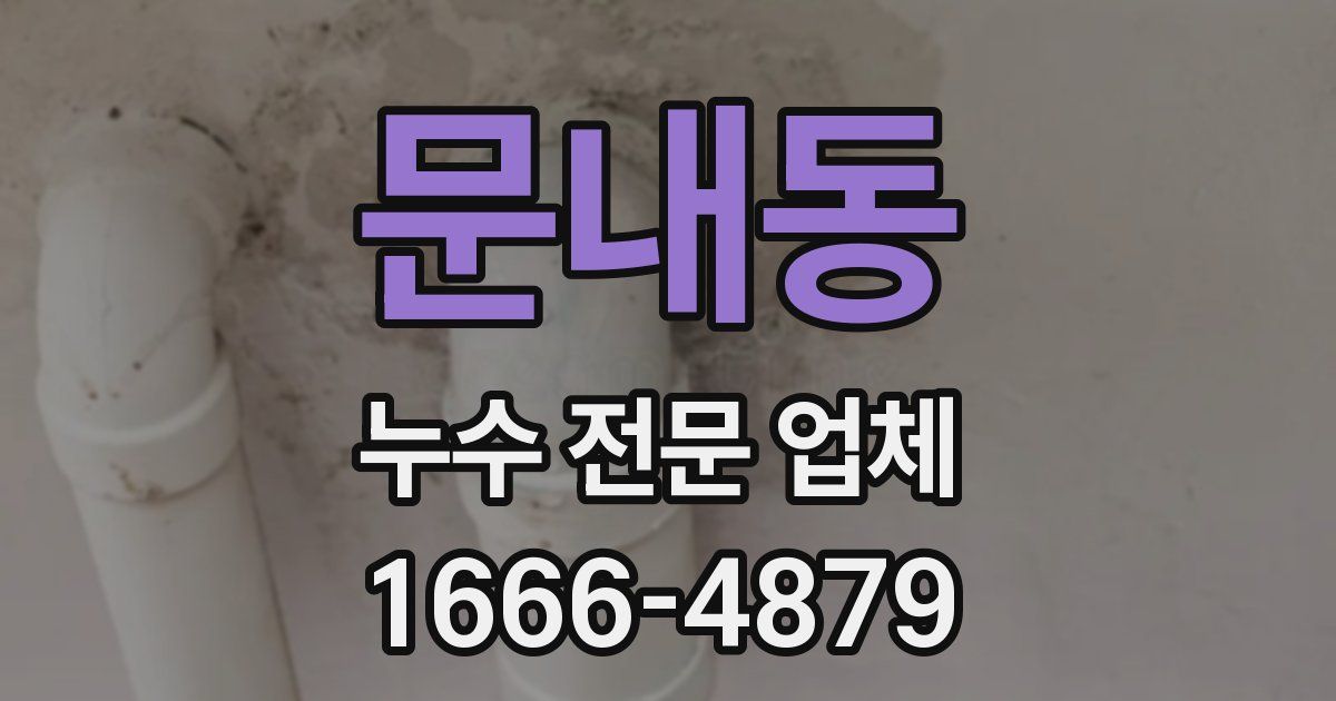 문내동 누수 전문 업체