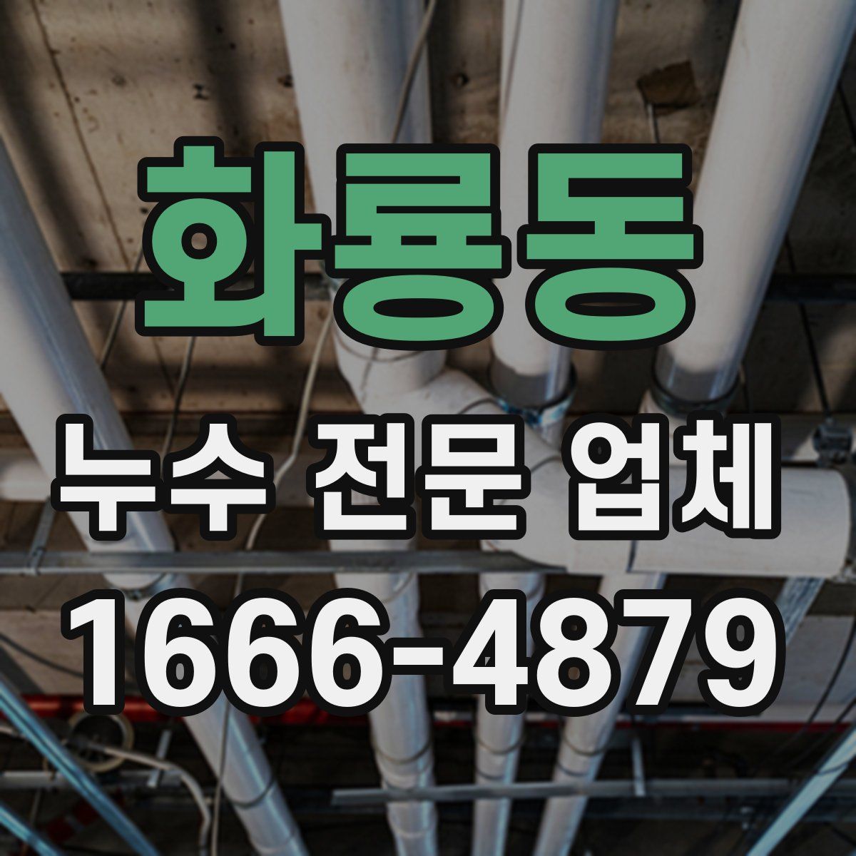 화룡동 누수 전문 업체