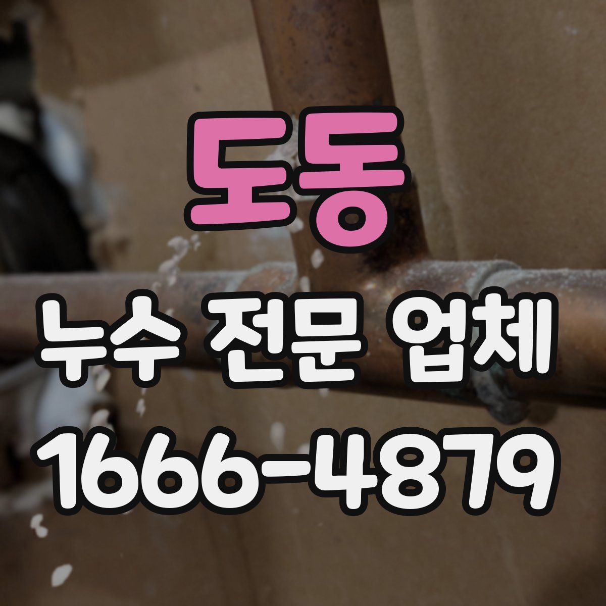 도동 누수 전문 업체