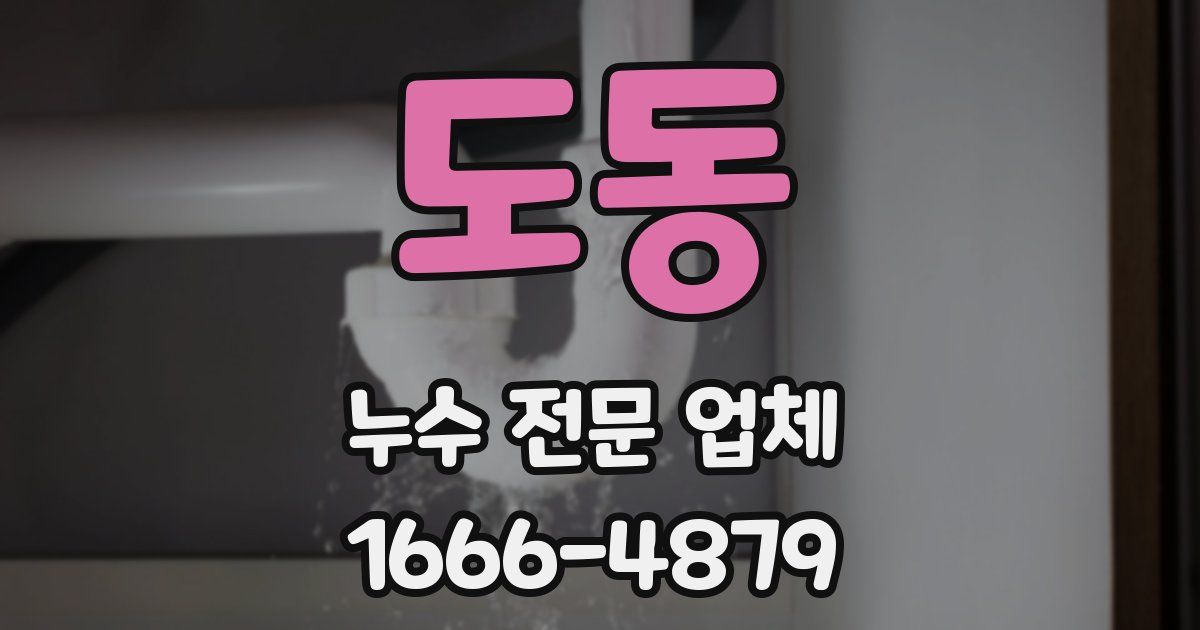 도동 누수 전문 업체