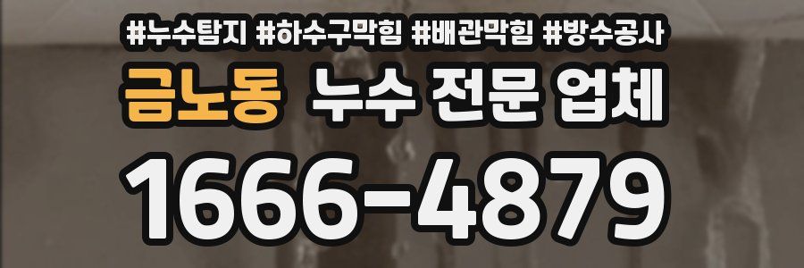 금노동 누수 전문 업체