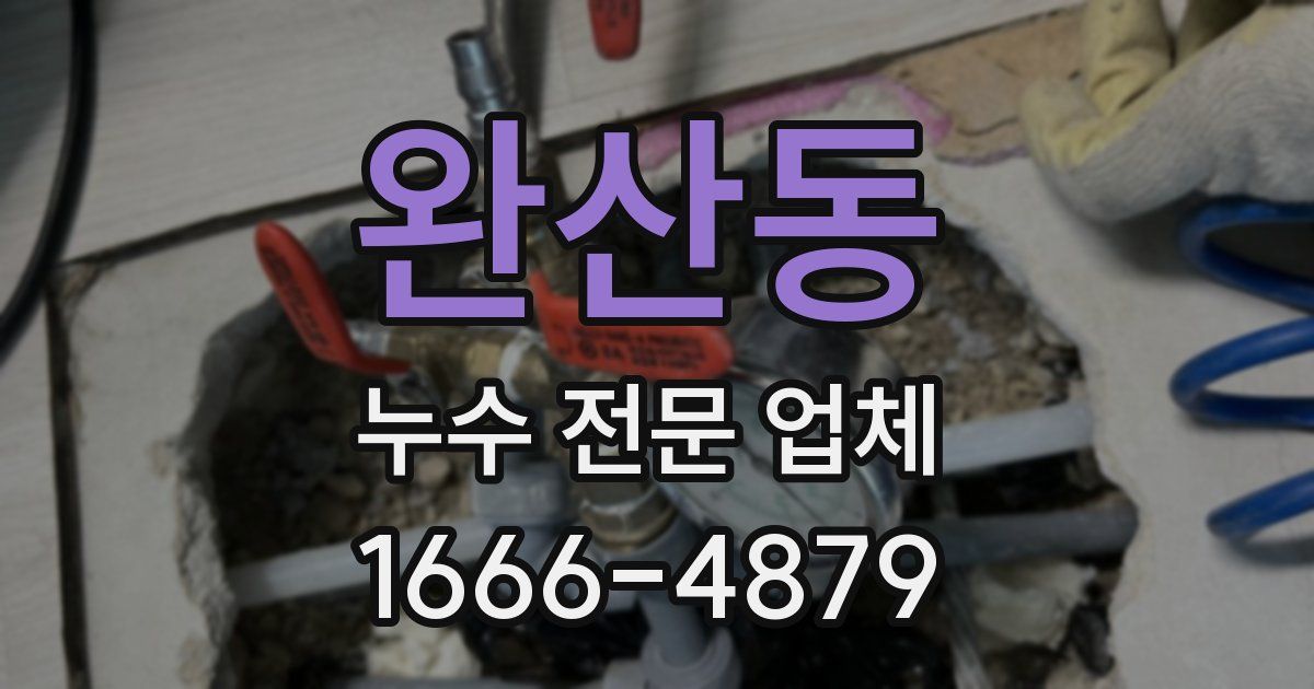 완산동 누수 전문 업체