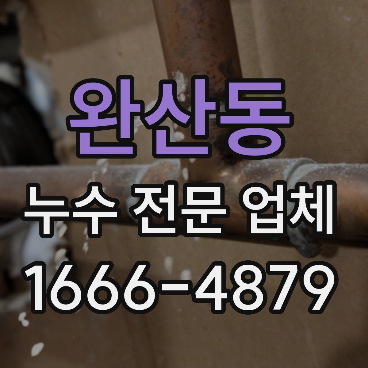 완산동 누수 전문 업체