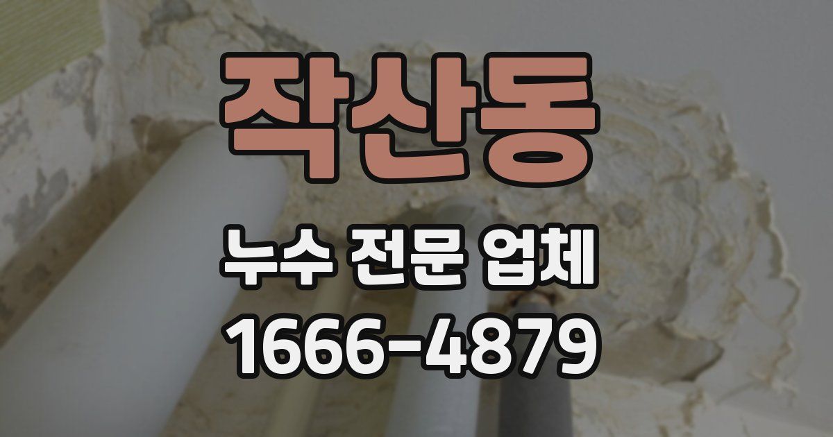 작산동 누수 전문 업체