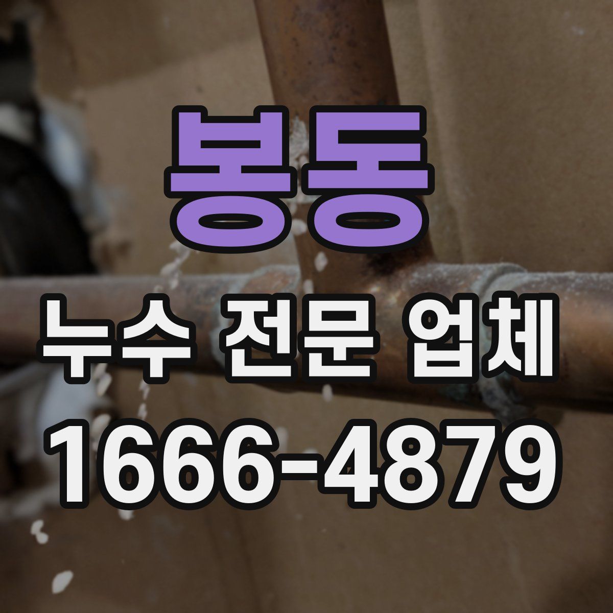 봉동 누수 전문 업체