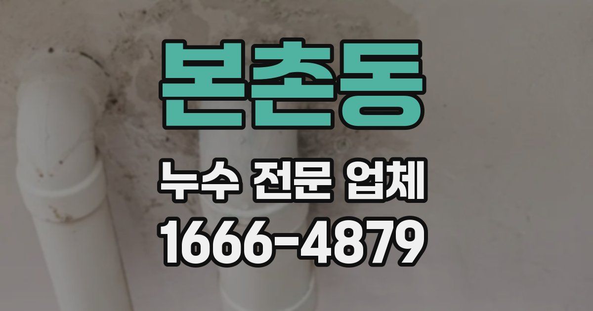 본촌동 누수 전문 업체