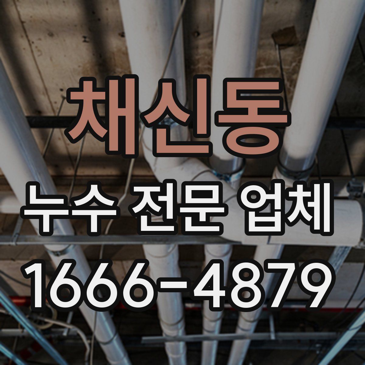 채신동 누수 전문 업체