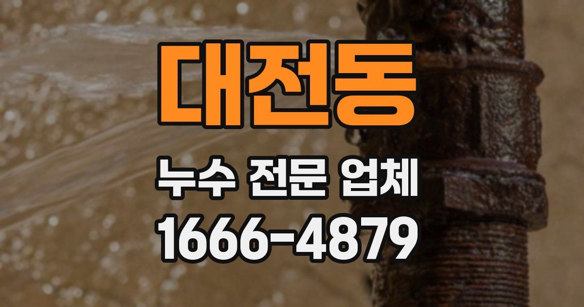 대전동 누수 전문 업체