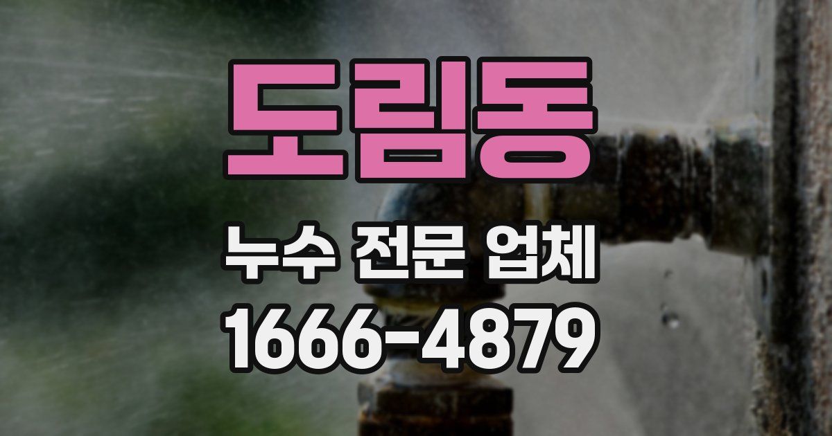 도림동 누수 전문 업체