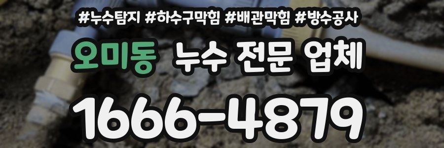 오미동 누수 전문 업체