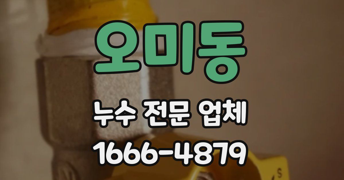오미동 누수 전문 업체