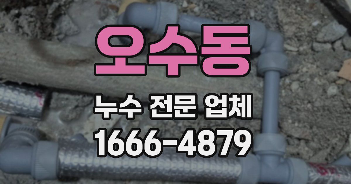 오수동 누수 전문 업체