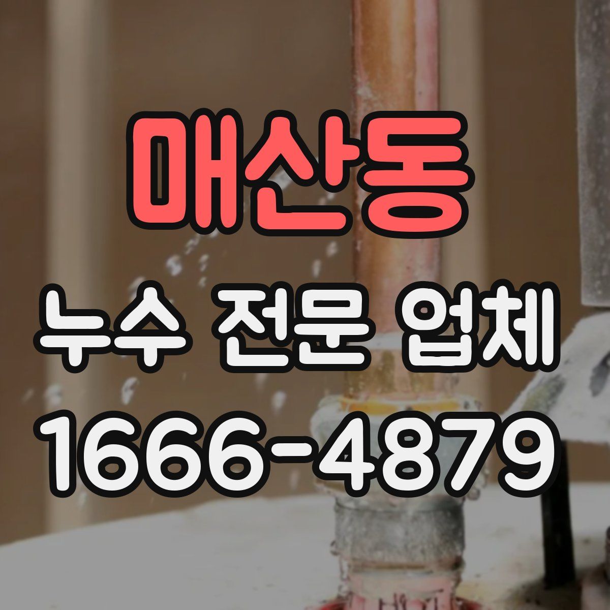 매산동 누수 전문 업체
